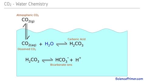 how to make carbonate buffer.